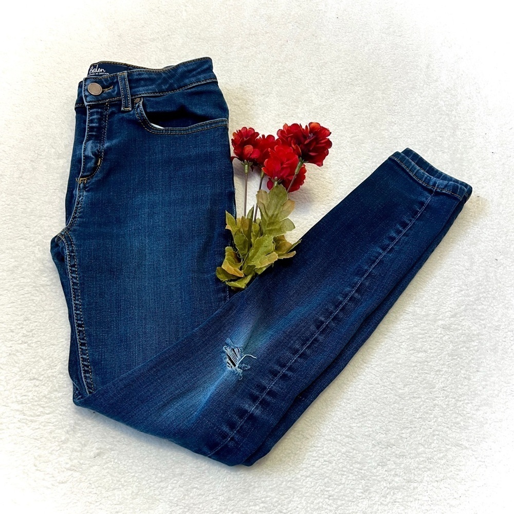 Boden The Mayfair Modern Skinny Jean - Size 4P (25")
